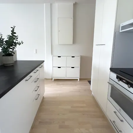 Stunning In The Centre Apartment Kuopio